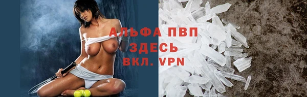 apvp Алексин