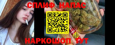 PSILOCYBIN Кинель