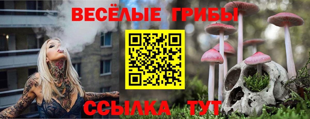 Конаково  Галлюциногенные грибы MAGIC MUSHROOMS  купить наркотики сайты  Вход с VPN  Псилоцибиновые грибы GOLDEN TEACHER 